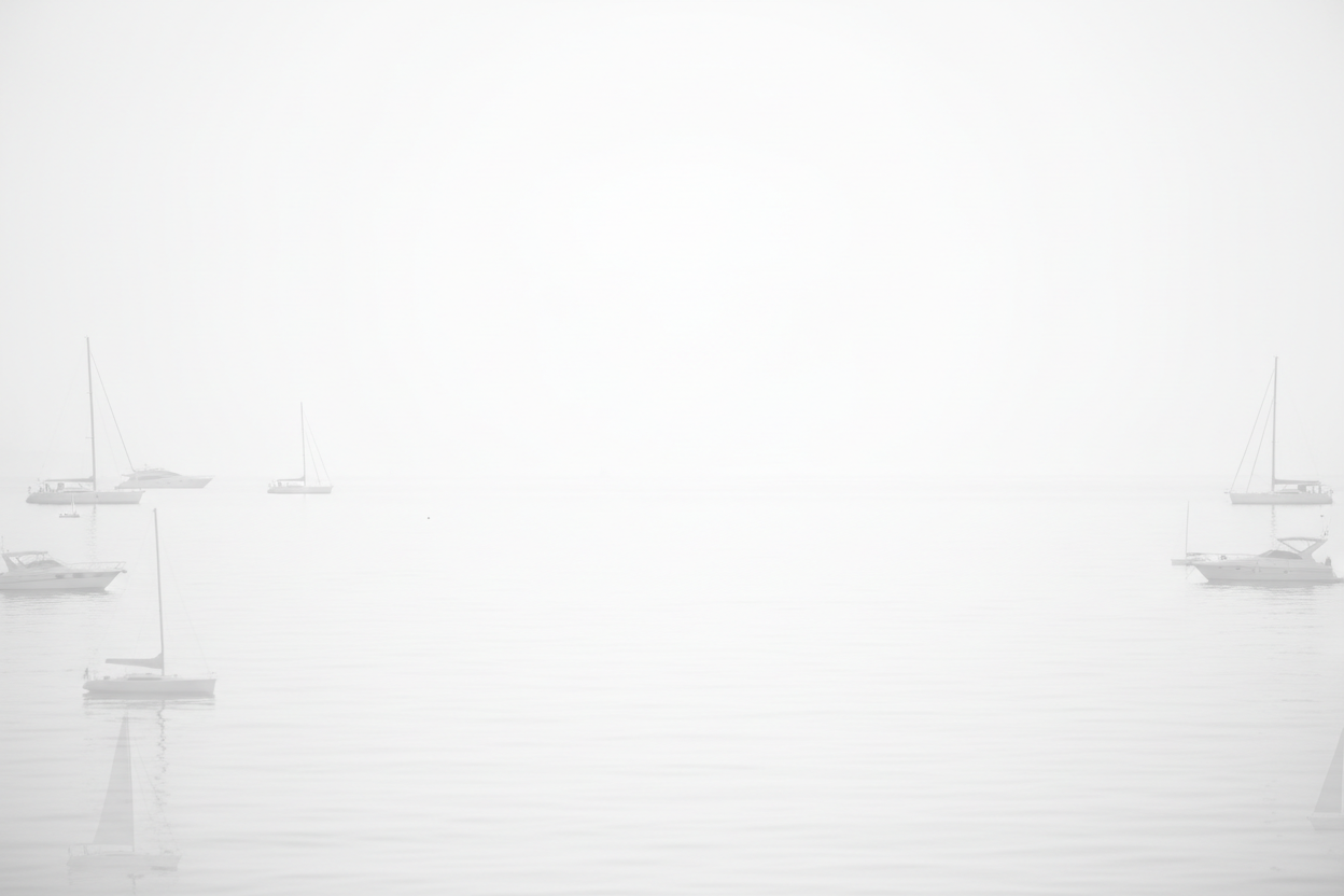 Imagen Marino blanco y gris